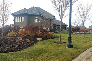 Spring & Fall Cleanup