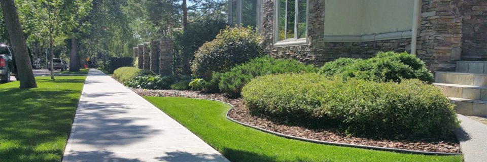 Your lawn and landscape the way it should be