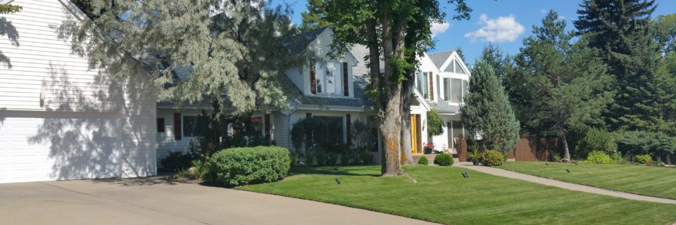 We Have Limited Spots For Spring Clean Ups
Book Yours Early!